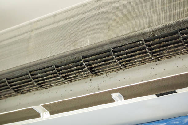 Best Affordable Air Duct Cleaning  in Amity Gardens, PA